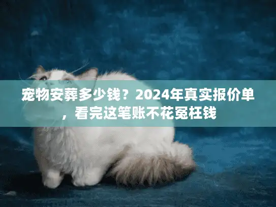 宠物安葬多少钱？2024年真实报价单，看完这笔账不花冤枉钱