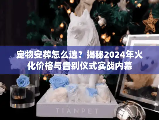 宠物安葬怎么选？揭秘2024年火化价格与告别仪式实战内幕