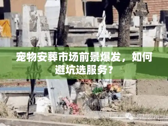 宠物安葬市场前景爆发，如何避坑选服务？