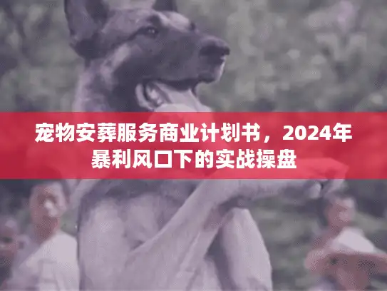 宠物安葬服务商业计划书，2024年暴利风口下的实战操盘