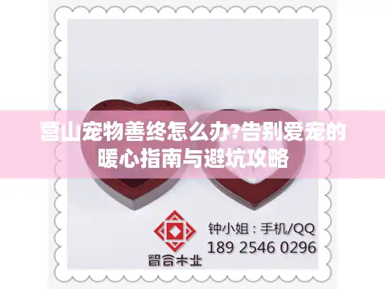 营山宠物善终怎么办?告别爱宠的暖心指南与避坑攻略