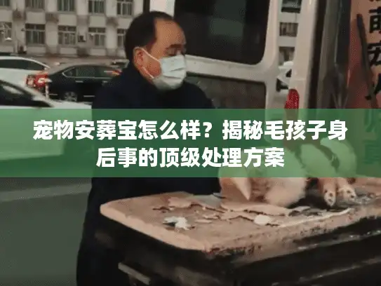 宠物安葬宝怎么样？揭秘毛孩子身后事的顶级处理方案