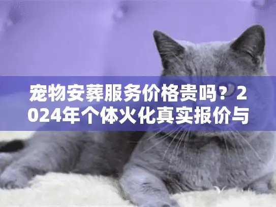 宠物安葬服务价格贵吗？2024年个体火化真实报价与内幕