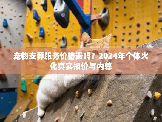 宠物安葬服务价格贵吗？2024年个体火化真实报价与内幕