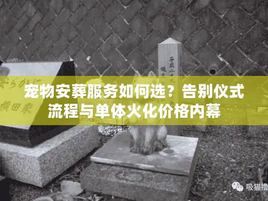 宠物安葬服务如何选？告别仪式流程与单体火化价格内幕