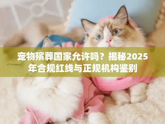 宠物殡葬国家允许吗？揭秘2025年合规红线与正规机构鉴别