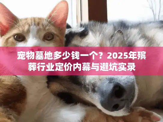 宠物墓地多少钱一个？2025年殡葬行业定价内幕与避坑实录