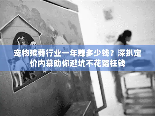 宠物殡葬行业一年赚多少钱？深扒定价内幕助你避坑不花冤枉钱