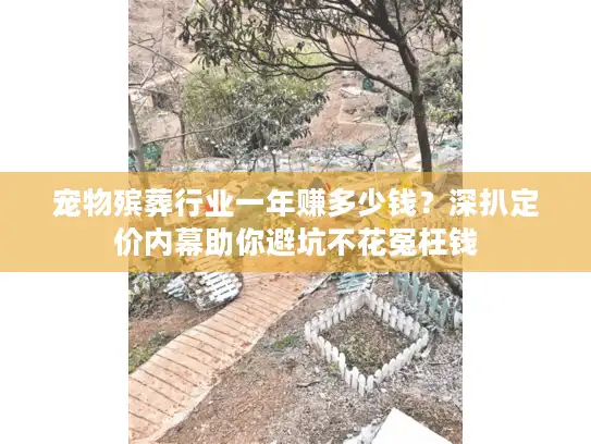宠物殡葬行业一年赚多少钱？深扒定价内幕助你避坑不花冤枉钱