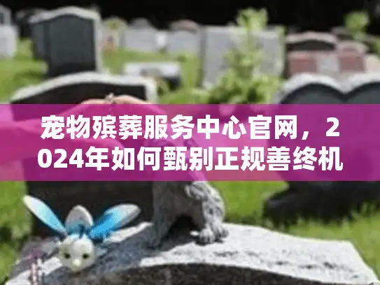 宠物殡葬服务中心官网，2024年如何甄别正规善终机构与收费标准