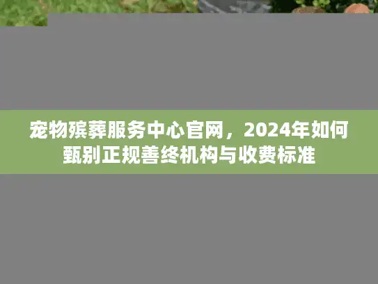 宠物殡葬服务中心官网，2024年如何甄别正规善终机构与收费标准