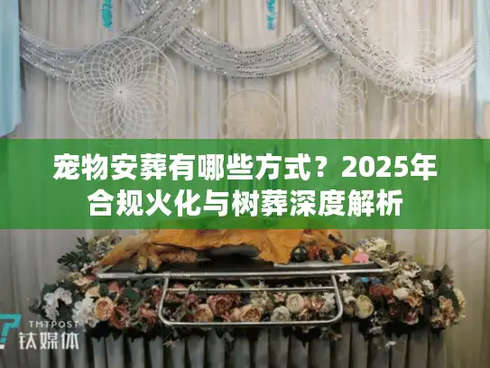 宠物安葬有哪些方式？2025年合规火化与树葬深度解析