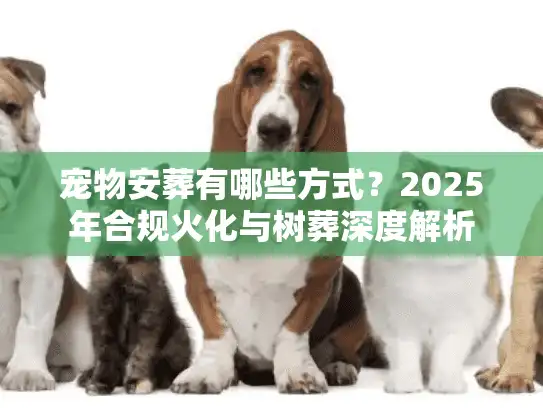 宠物安葬有哪些方式？2025年合规火化与树葬深度解析