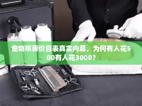 宠物殡葬价目表真实内幕，为何有人花500有人花3000？