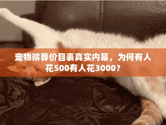宠物殡葬价目表真实内幕，为何有人花500有人花3000？