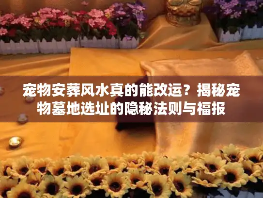 宠物安葬风水真的能改运？揭秘宠物墓地选址的隐秘法则与福报
