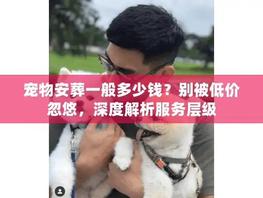 宠物安葬一般多少钱？别被低价忽悠，深度解析服务层级