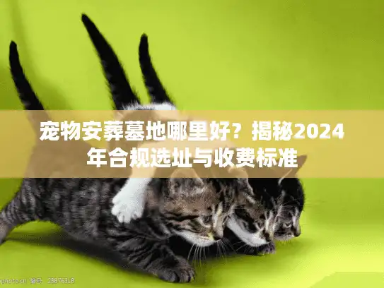 宠物安葬墓地哪里好？揭秘2024年合规选址与收费标准
