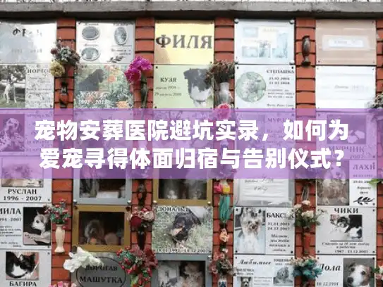 宠物安葬医院避坑实录，如何为爱宠寻得体面归宿与告别仪式？