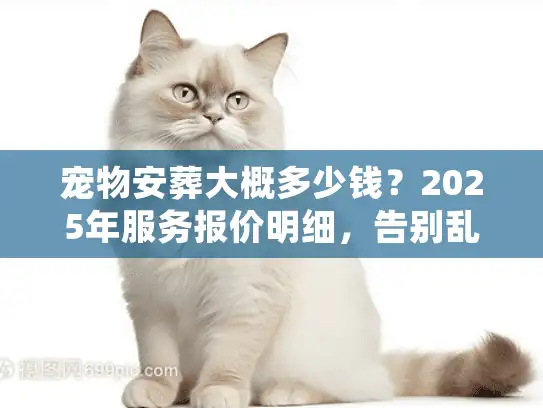 宠物安葬大概多少钱？2025年服务报价明细，告别乱收费