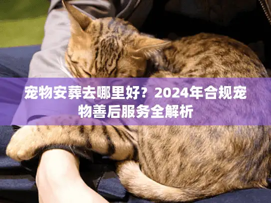 宠物安葬去哪里好？2024年合规宠物善后服务全解析