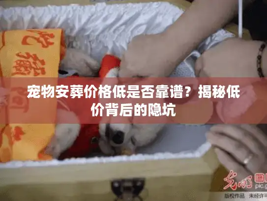 宠物安葬价格低是否靠谱？揭秘低价背后的隐坑