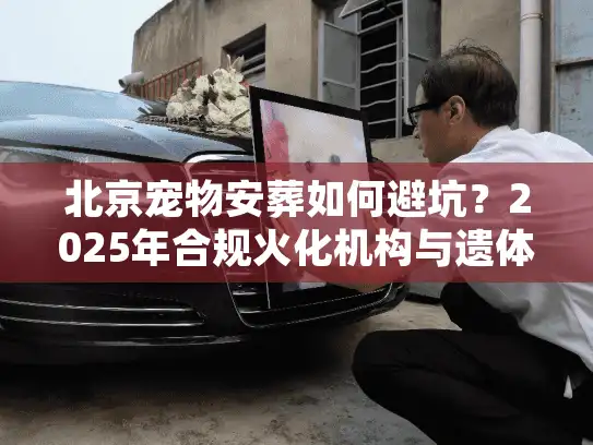 北京宠物安葬如何避坑？2025年合规火化机构与遗体处理全解