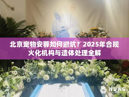 北京宠物安葬如何避坑？2025年合规火化机构与遗体处理全解