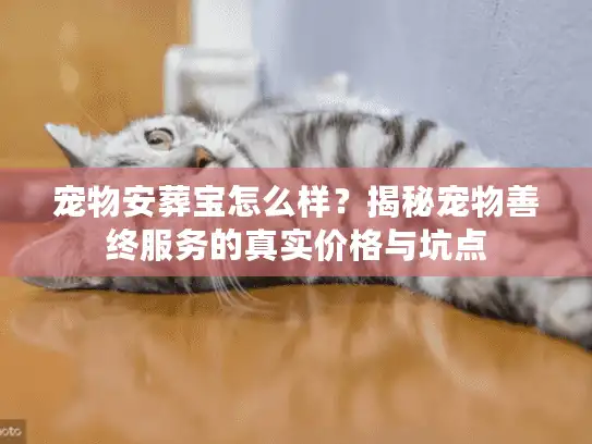 宠物安葬宝怎么样？揭秘宠物善终服务的真实价格与坑点