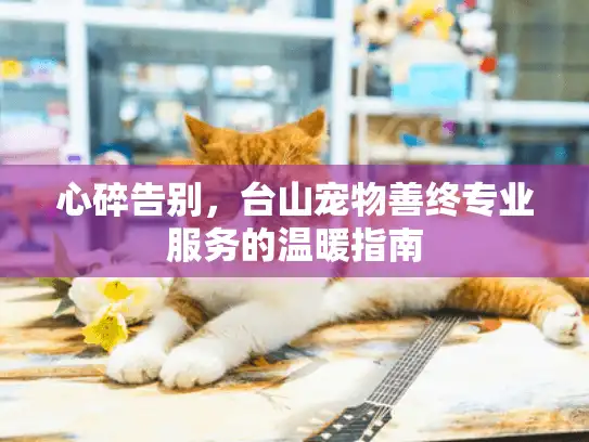 心碎告别，台山宠物善终专业服务的温暖指南