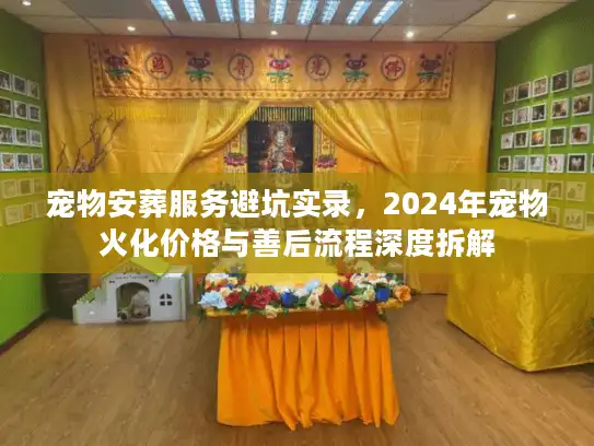 宠物安葬服务避坑实录，2024年宠物火化价格与善后流程深度拆解