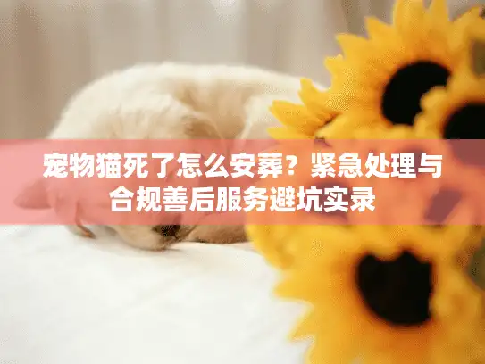 宠物猫死了怎么安葬？紧急处理与合规善后服务避坑实录