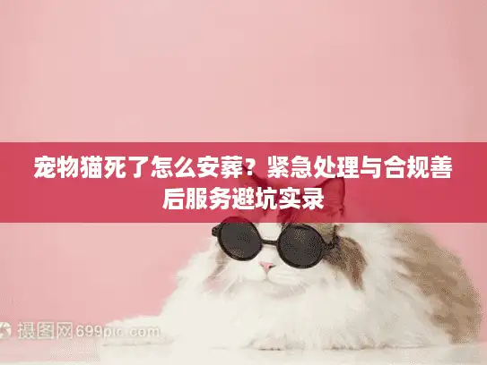 宠物猫死了怎么安葬？紧急处理与合规善后服务避坑实录