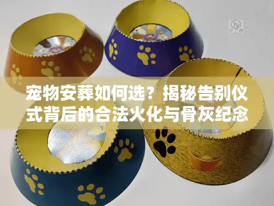 宠物安葬如何选？揭秘告别仪式背后的合法火化与骨灰纪念方案