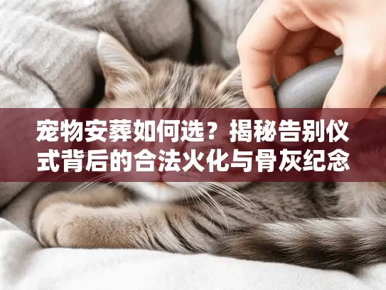 宠物安葬如何选？揭秘告别仪式背后的合法火化与骨灰纪念方案