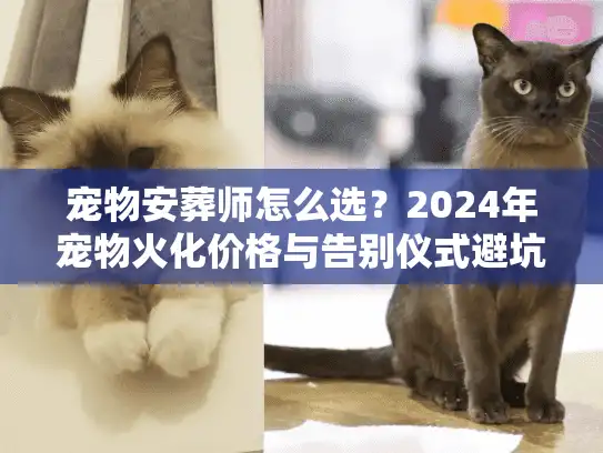 宠物安葬师怎么选？2024年宠物火化价格与告别仪式避坑实录