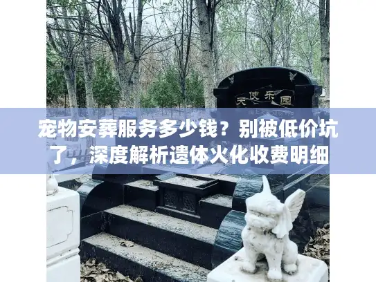 宠物安葬服务多少钱？别被低价坑了，深度解析遗体火化收费明细