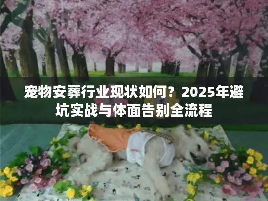 宠物安葬行业现状如何？2025年避坑实战与体面告别全流程