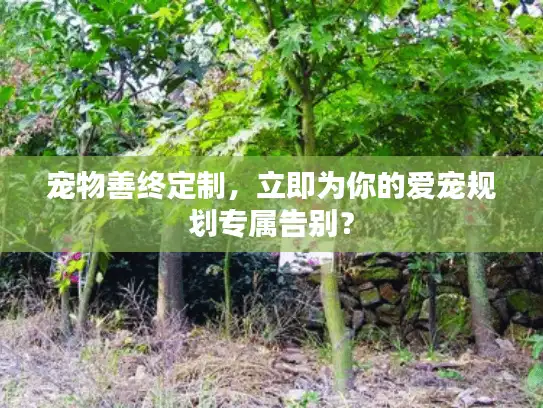 宠物善终定制，立即为你的爱宠规划专属告别？