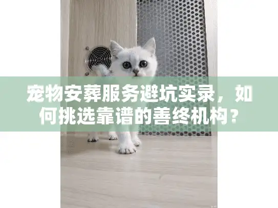 宠物安葬服务避坑实录，如何挑选靠谱的善终机构？