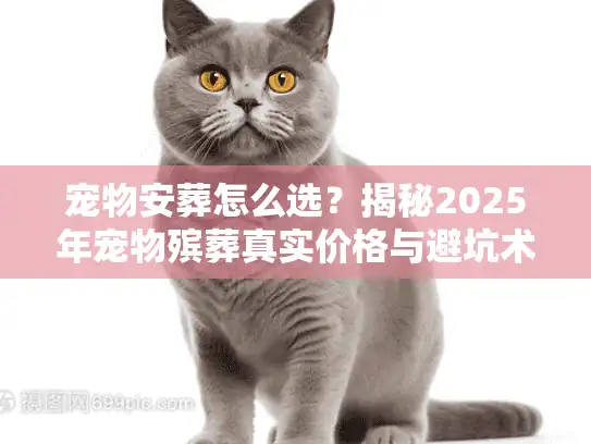 宠物安葬怎么选？揭秘2025年宠物殡葬真实价格与避坑术