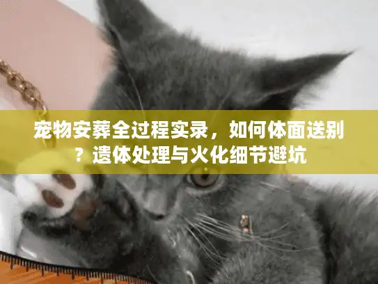 宠物安葬全过程实录，如何体面送别？遗体处理与火化细节避坑