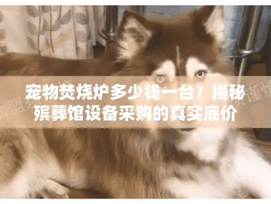 宠物焚烧炉多少钱一台？揭秘殡葬馆设备采购的真实底价