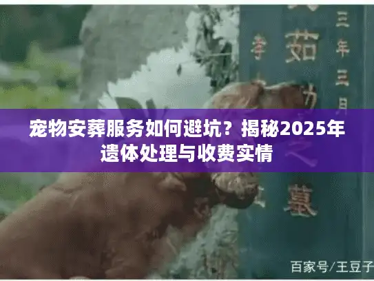 宠物安葬服务如何避坑？揭秘2025年遗体处理与收费实情