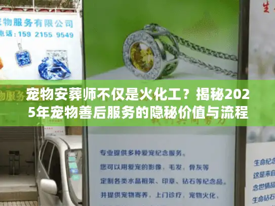 宠物安葬师不仅是火化工？揭秘2025年宠物善后服务的隐秘价值与流程