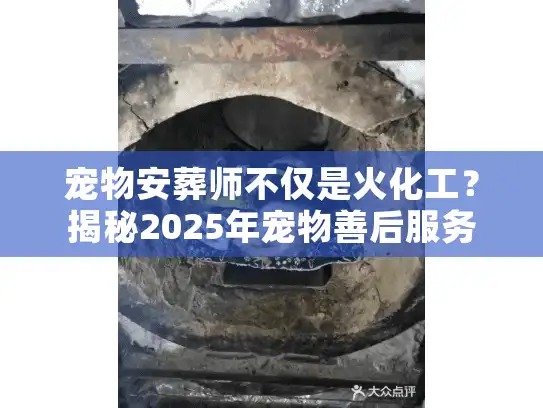 宠物安葬师不仅是火化工？揭秘2025年宠物善后服务的隐秘价值与流程