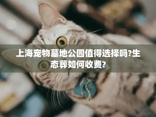 上海宠物墓地公园值得选择吗?生态葬如何收费?