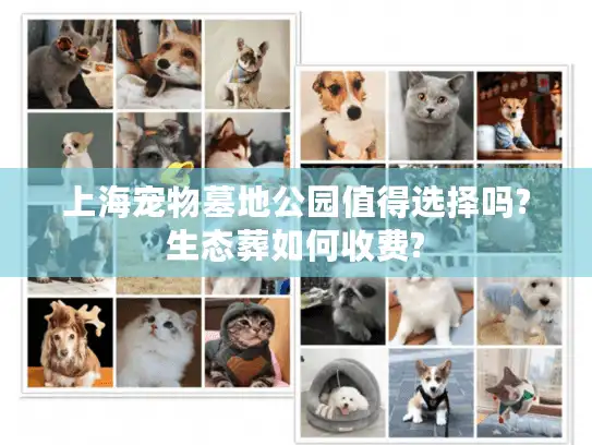 上海宠物墓地公园值得选择吗?生态葬如何收费?