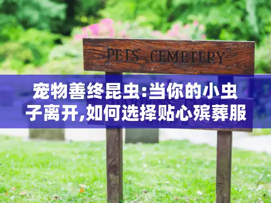 宠物善终昆虫:当你的小虫子离开,如何选择贴心殡葬服务?