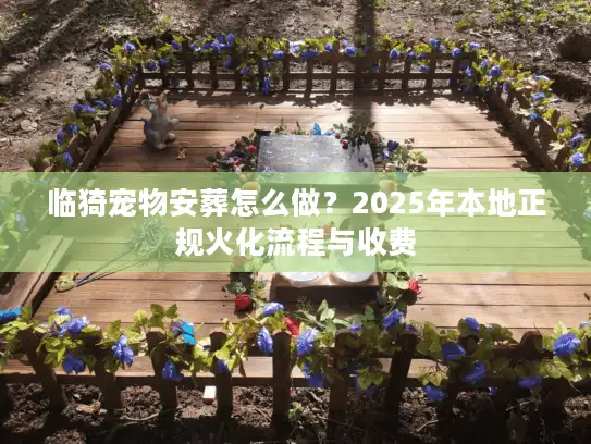 临猗宠物安葬怎么做？2025年本地正规火化流程与收费